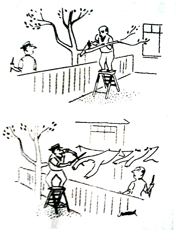 古风耽美漫画《月下契约》封面